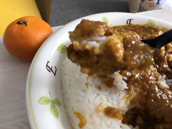 【11月12日, 14日】サーチバン対策でみかんカレーを作った話